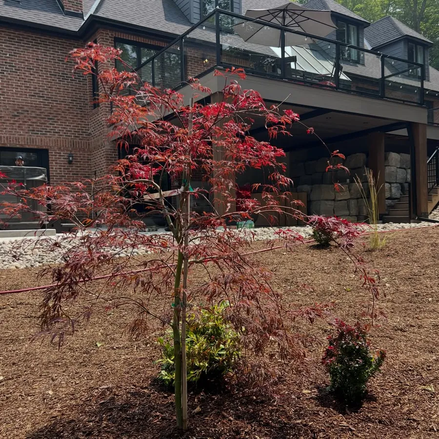 Completed landscaping around a Toronto residence